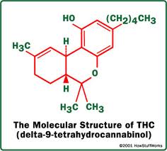 Cannabis Science