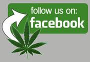facebook-follow-us-marijuana